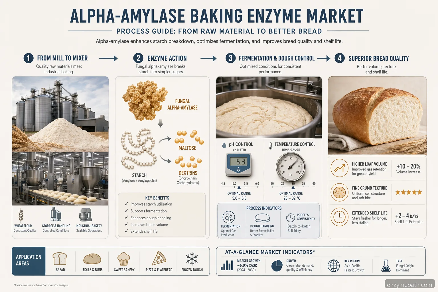 alpha-amylase baking enzyme market process guide showing enzyme action, dough handling, loaf volume and shelf life